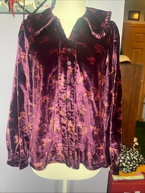 NWT Pilcro plum velour Peter Pan button up